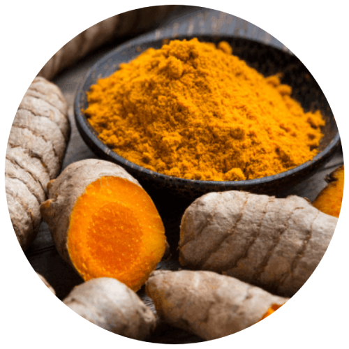Haridra (Turmeric)