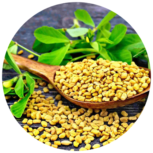 Methika (Fenugreek)