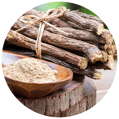 Yashtimadhu (Licorice)