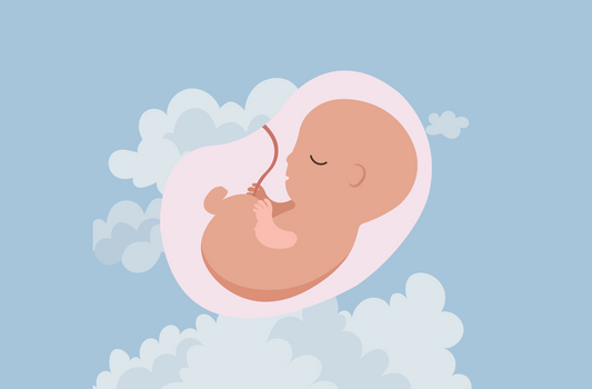 Understanding Fetal Movements: A Guide for First-Time Mothers | Pregnancy Insights