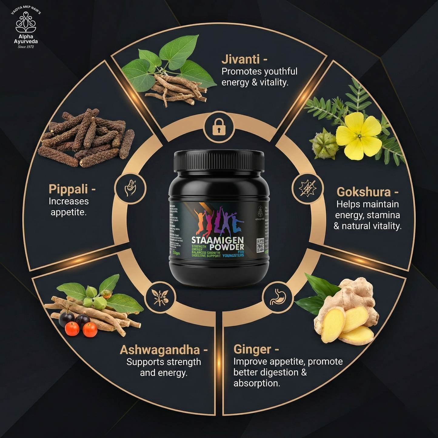 Staamigen Powder - Build Body. Gain Confidence. The Natural Way.