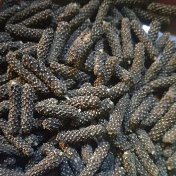 Piper Longum (Thippali)